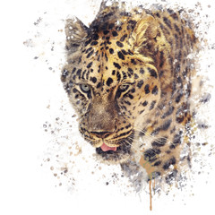 Portrait of Leopard watercolor