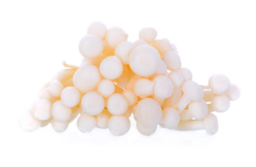 white  beech mushrooms, Shimeji mushroom, Edible mushroom isolat