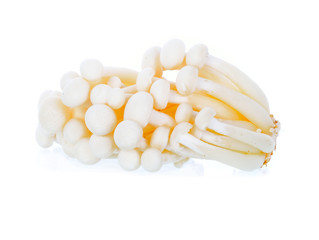 white  beech mushrooms, Shimeji mushroom, Edible mushroom isolat