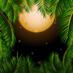 Fototapeta na wymiar Big tropical moon and palm trees background