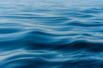 Zelfklevend Fotobehang wave on the surface of the lake © tashas