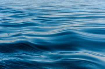 Fototapeten wave on the surface of the lake © tashas