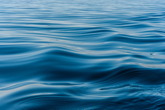 wave on the surface of the lake
