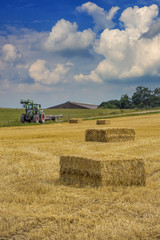 Fototapeta premium Erntezeit