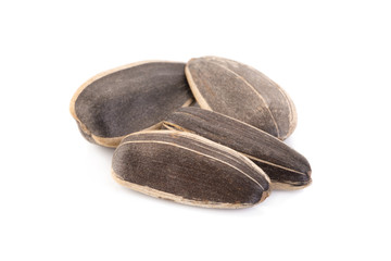 sun flower seed on white background