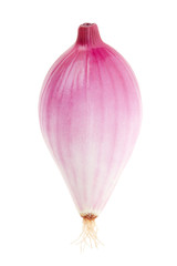 Red onion, Tropea type on white, clipping path