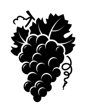 grapes branch icon