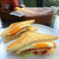 Closeup of bacon tomato lettuce toasted sandwich with blur boken food dish and food seasoning background