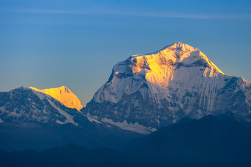 Snowy mountain during sunrise view from Poon Hill, Nepal