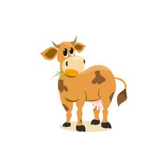 Dairy cow isolated