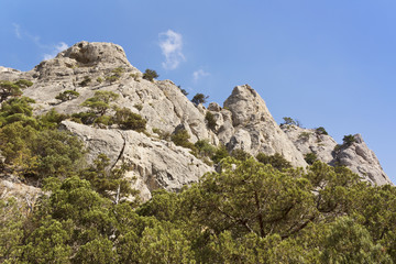 Former coral reefs,forested.Crimea.