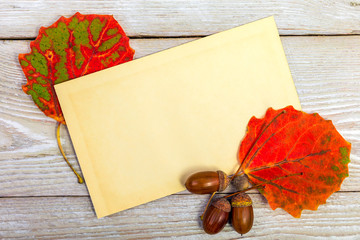 Autumn background with color leafs