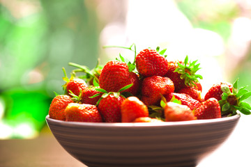 fresh strawberries in a blue plate on blurred background