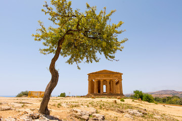 Valley of Temples, Agrigento Sicily in Italy.