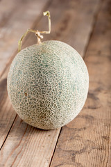 Melon.