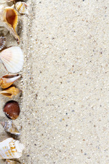 Travel background with sand and shells. Summer beach.