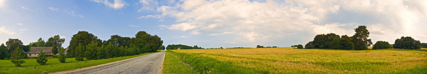 Fototapeta na wymiar Panoramic countryside wide view of road with trees and village behind. Rural summer landscape. Typical european pastoral field, meadow, pasture. Illustration of agriculture.