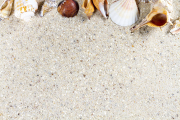 Travel background with sand and shells. Summer beach.