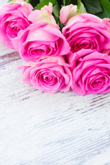 Pink fresh roses