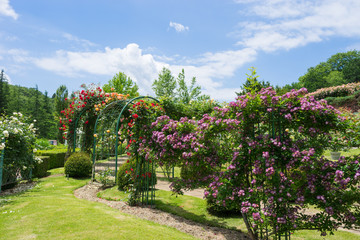 Niji no Sato / Royal Rose Garden