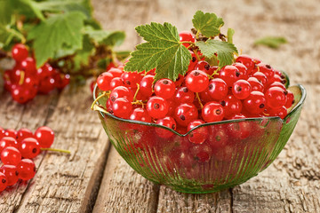Red currant in glass bowl on wooden table