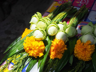 Fresh lotus with yellow  flower for worship
