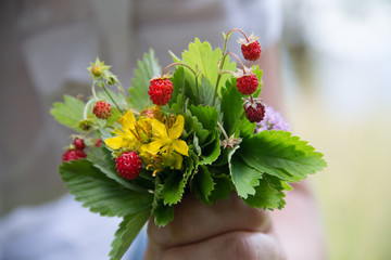 Букет из земляники лесной с цветами