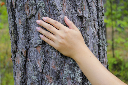 The girl put a hand on the tree trunk. The concept of unity with nature, to draw strength from nature.