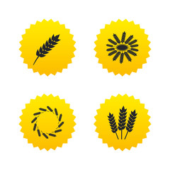 Agricultural icons. Gluten free symbols.