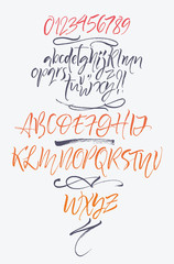 Vector alphabet. Hand drawn letters. Letters of the alphabet written with a brush