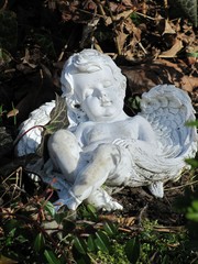 Engel
