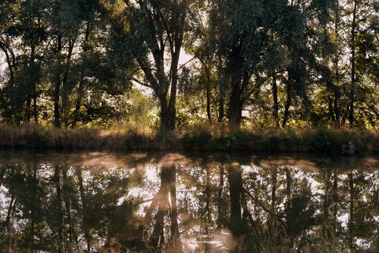 Morgens am Teich, Sommermorgen mit Fr&uuml;hnebel am Seeufer