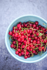 redcurrant in bowl