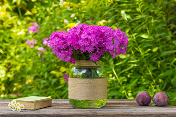 bouquet of phlox flowers in a glass vase, ripe plums and old book with daisies on the table on nature background, selective focus