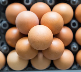 Egg tray black plastic stack for sale