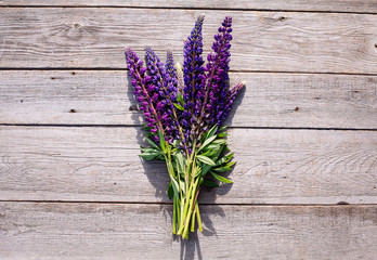 Blue lupines on wooden background.