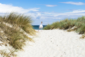 Dünen am Strand