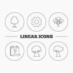 Pine tree, oak-tree icons.