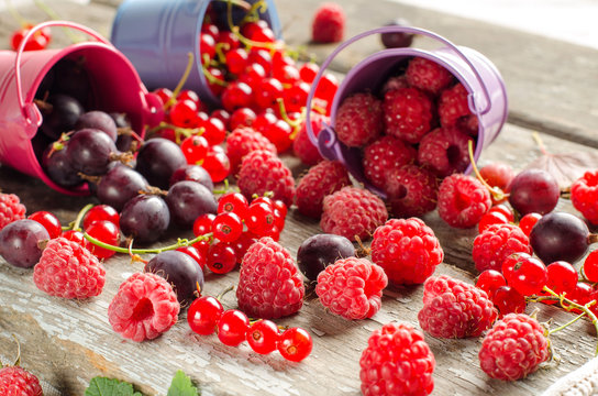 Seasonal ripe berries. Harvest. Red currants, raspberries and go