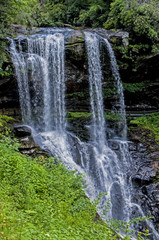 Obraz premium Dry Falls surrounded with greenery.