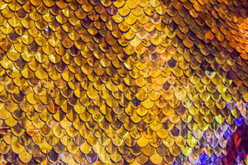 gold Fish Scales Background © ivandancom