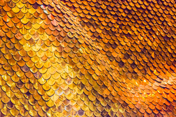 gold Fish Scales Background © ivandancom