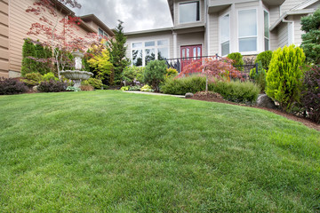 Green Grass Lawn in Manicured Frontyard Garden - 116748387