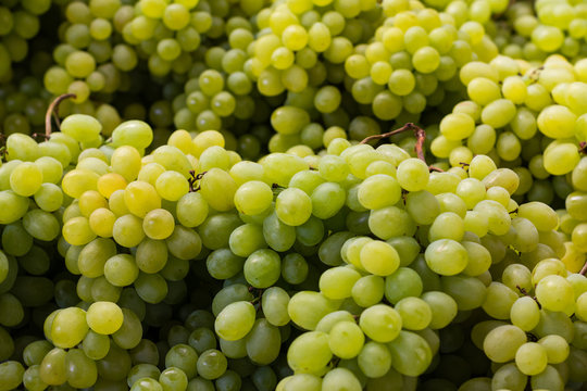  grapes closeup - bonch of green grapes