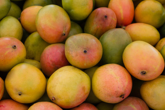 pile of fresh mango fruits