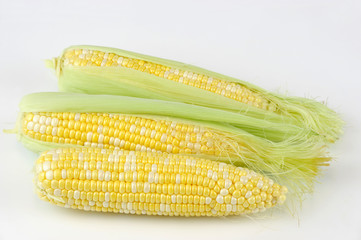 fresh raw corn cob with husk on white background