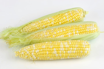 close-up on fresh corn