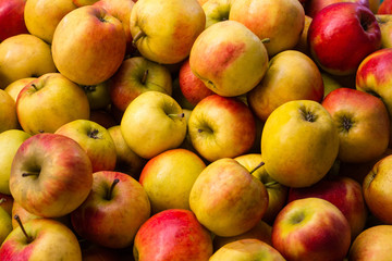 many apples - apple fruit background