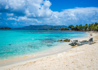 The Tropical Beach