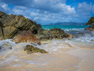 The Tropical Beach